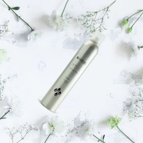 Chic 2.0 Styling Spray